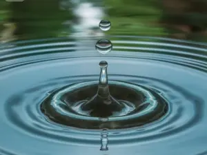 טיפת מים - ההתאמה בין מדע לרפואה – ד"ר אלי שוסהיים ז"ל על טהרת המשפחה