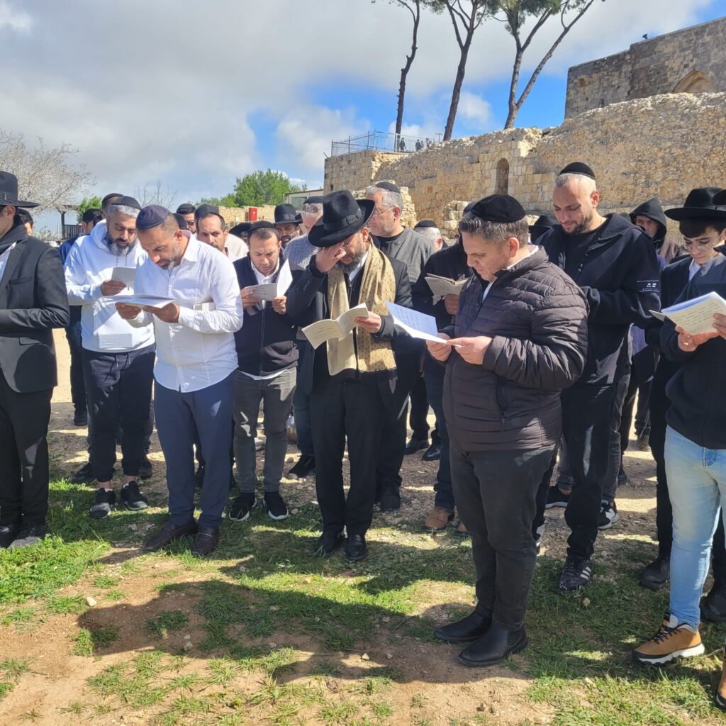 ברכת אילנות